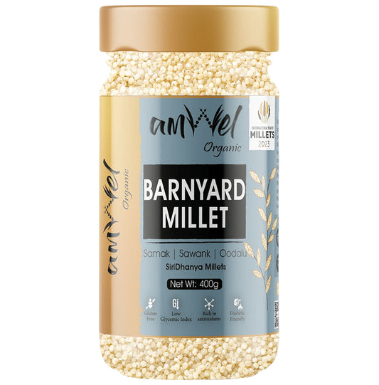 Amwel Barnyard Millet - Classic Derma
