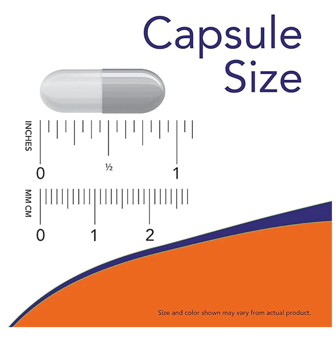 Now Foods GABA 500mg Veg Capsule