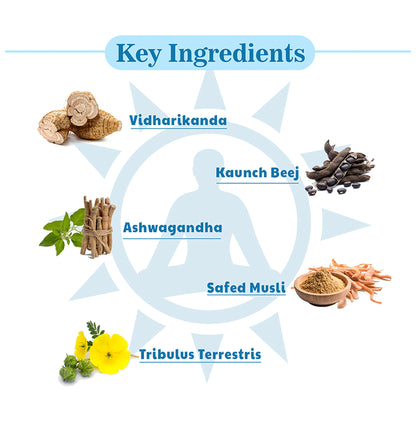 Omni Ayurveda Knight Walker Capsule for Men (60 Each)