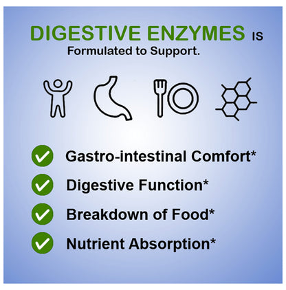 Vegan Bit Digestive Enzyme Vegetarian Capsule