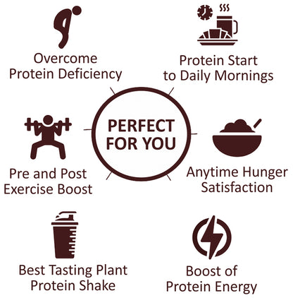 RiteBite Max Plant Protein Alphonso Mango