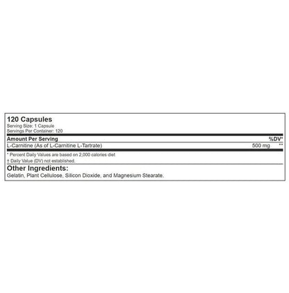 RSP Nutrition L-Carnitine Capsule