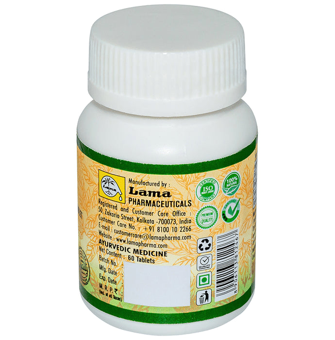 Lama Immunity Pack for Kids (Giloy Ghanbati 60 Tablet, Ayush Kwath 60 Tablet, Ashwagandha Churna 100gm & Chyawanprash Special 500gm)