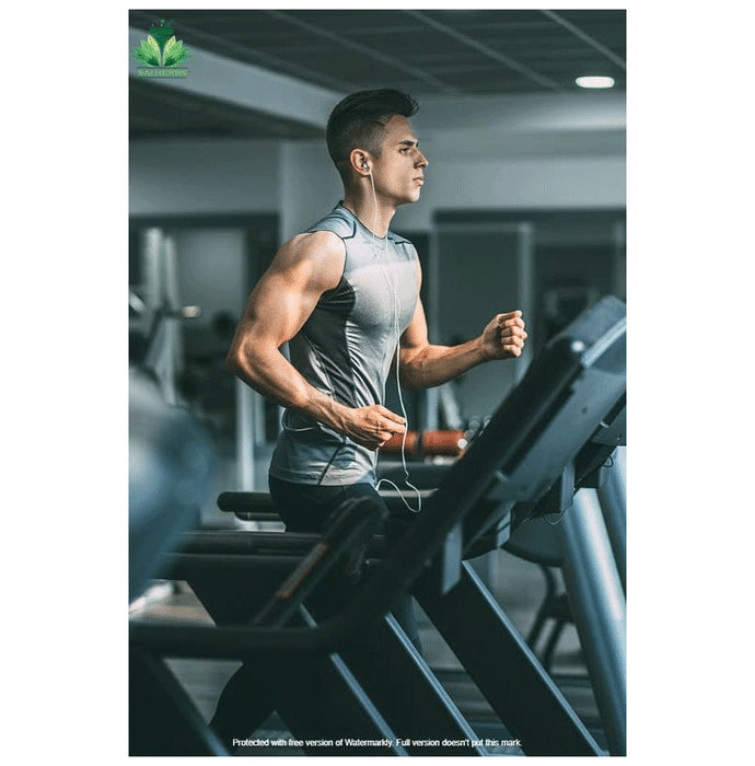 Sai Herbs Mugwort Leaves Powder