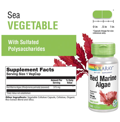 Solaray Red Marine Algae 375mg Vegcap