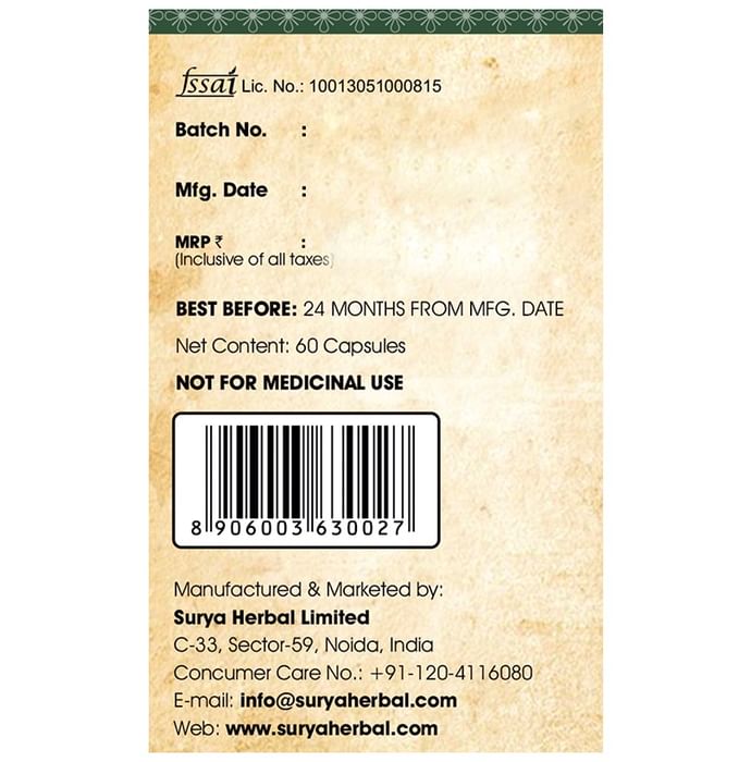 Surya Herbal Turmeric Active with 95% Curcuminoids & 95% Piperine Vegetarian Capsule