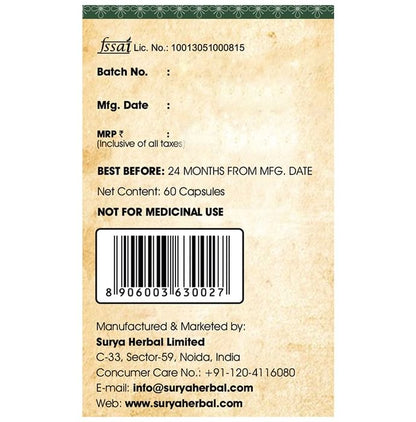 Surya Herbal Turmeric Active with 95% Curcuminoids & 95% Piperine Vegetarian Capsule