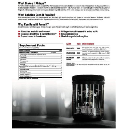 Universal Nutrition Juiced Aminos Orange