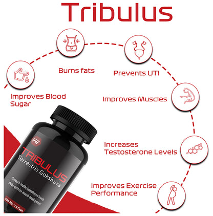 Vitaminhaat Tribulus Terrestris Testorone Booster Capsule