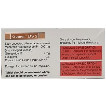 Gemer DS 2 Tablet PR