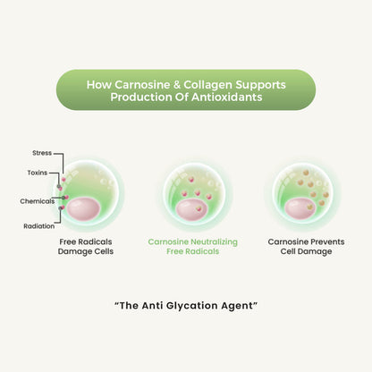 GLYCURA Veg  Collagen Peptide